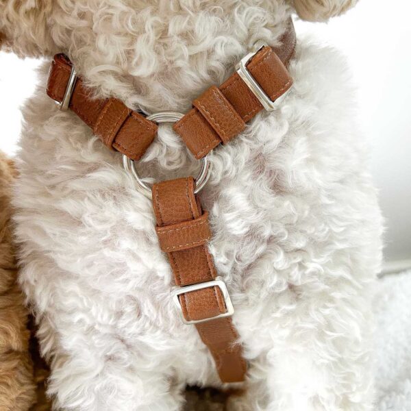 Confidence Dog Harness - Image 4