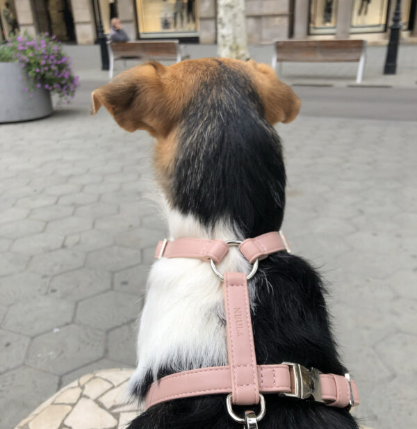 Kindness Dog Harness - Image 2