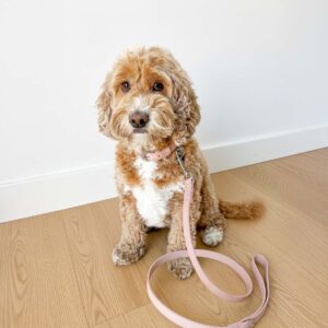 Pink dog harness, leash, poop bag holder - Premium vegan leather