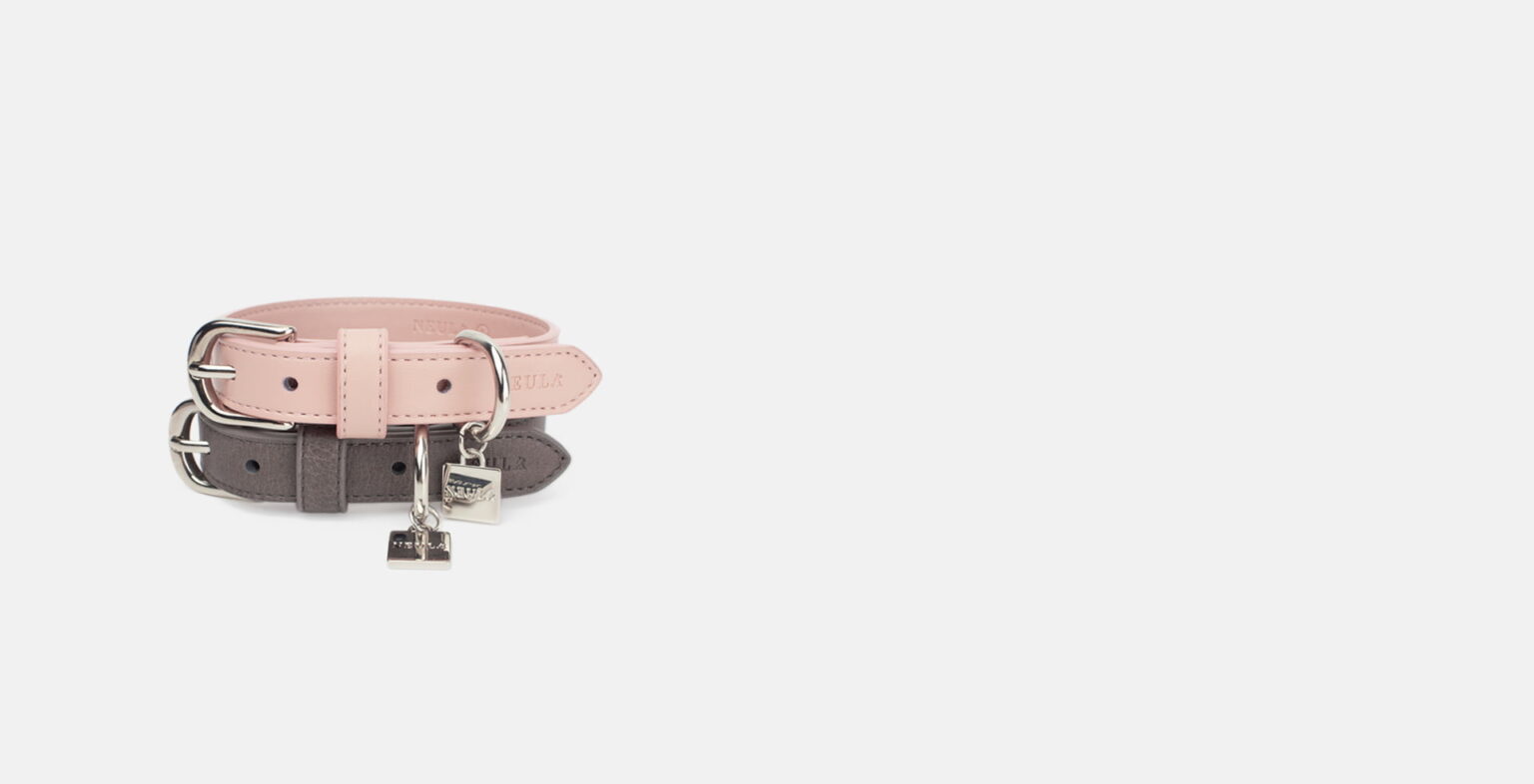 luxury brand dog collars